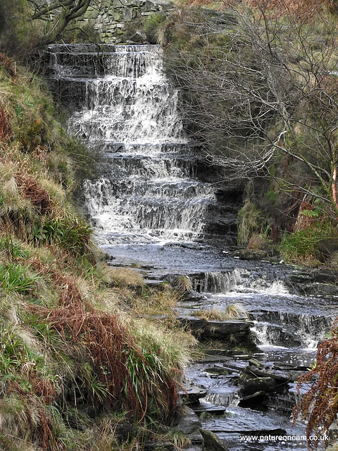 Ogden Moor and Waterfall