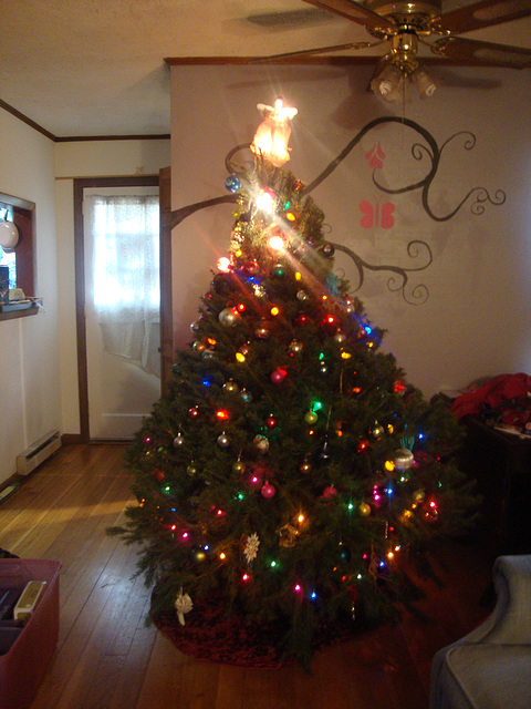 Christmas tree 003