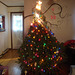 Christmas tree 003