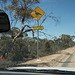 watch for mallee fowl