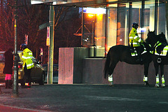Police on horseback checking somebody with iron horse