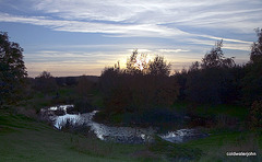 Pond evening reflections