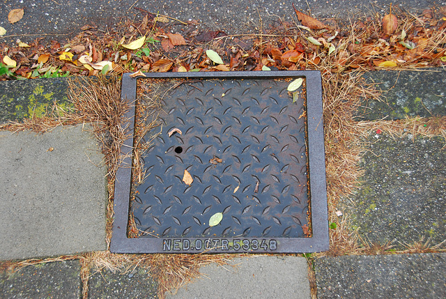 Drain and manhole covers of TBS