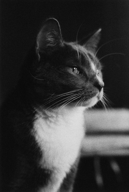 deep thoughts...
