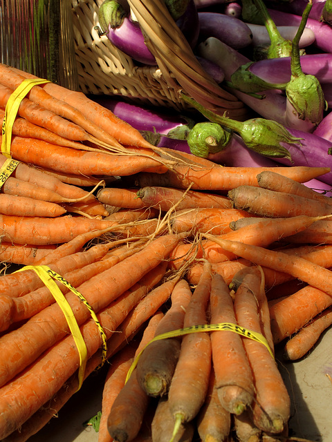 Carrots & Eggplant