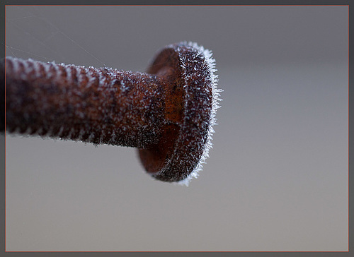 Frosty Screw