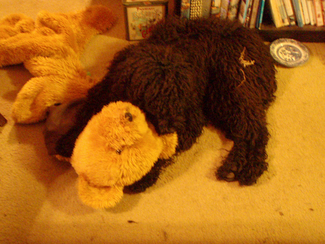 Fonzie's teddy bear rug