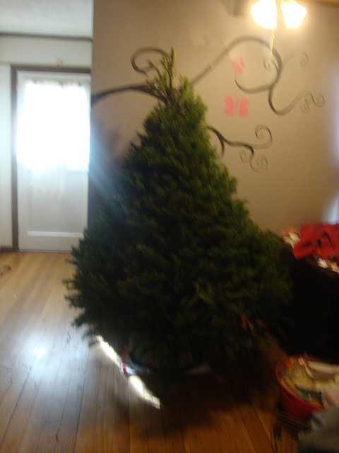 Christmas tree 001