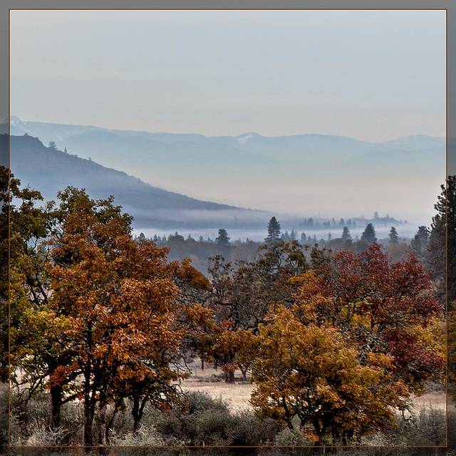 Fog in the Valley