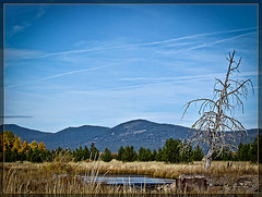 Beautiful Landscape in Klamath County