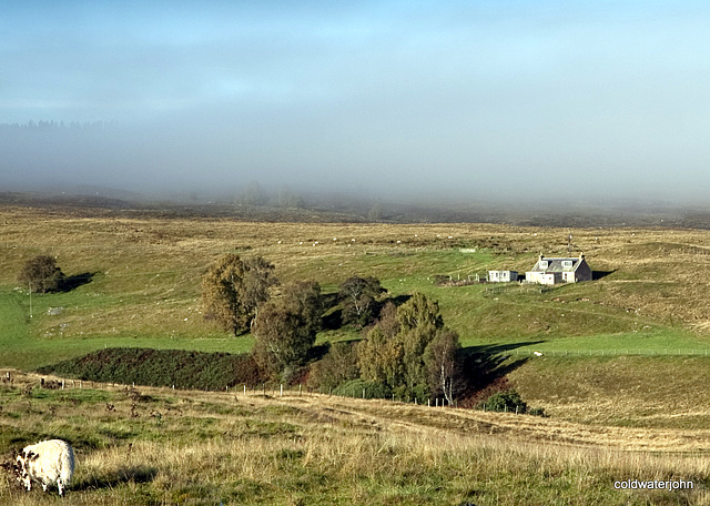 Dava Croft in early morning sunlight and mist