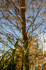 Inversed Reflections in the water 5131842170 o