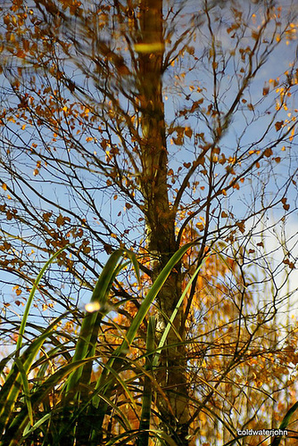 Inversed Reflections in the water 5131842170 o