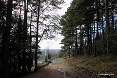 Glen of Aherlow trail