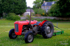 It's that time of year again...grass topping in the paddock