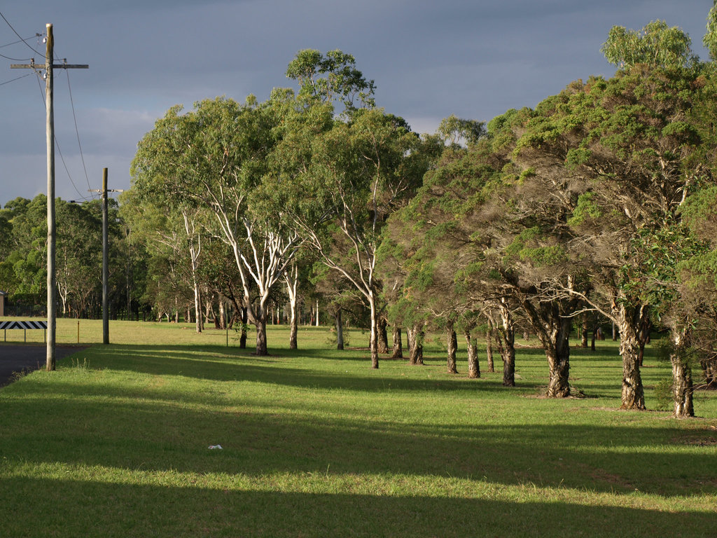 Garnet Lehmann Park 022