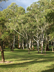 Garnet Lehmann Park 023