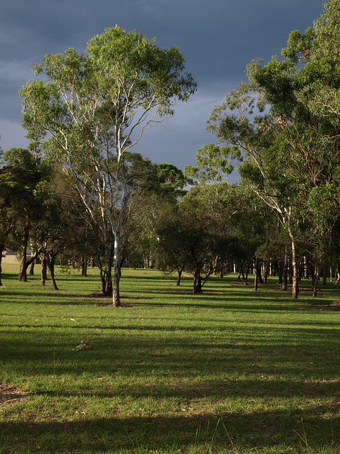 Garnet Lehmann Park 024