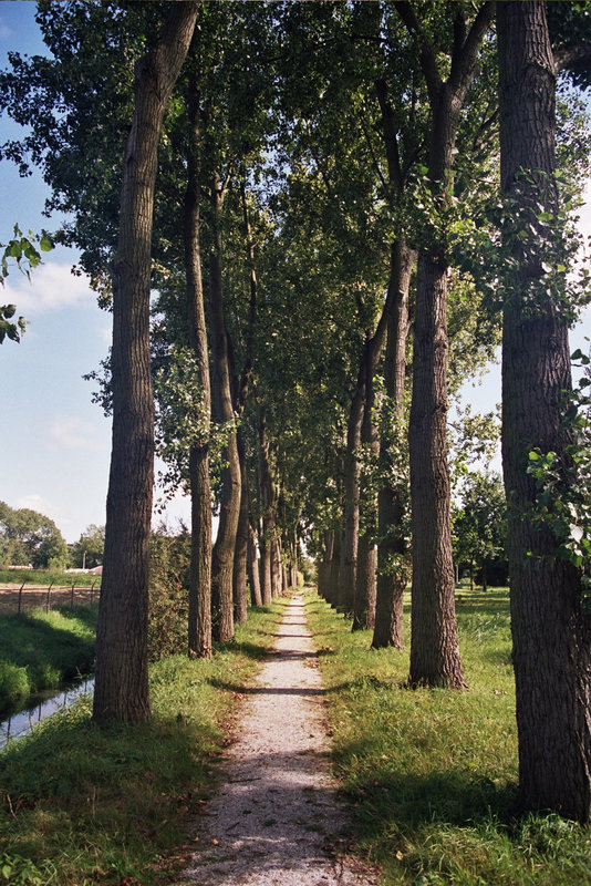 Quiet little lane