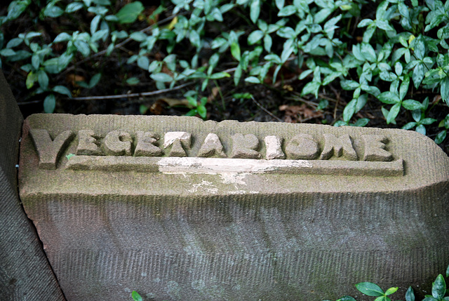 Kleverlaan Cemetery in Haarlem – Vegetarianism