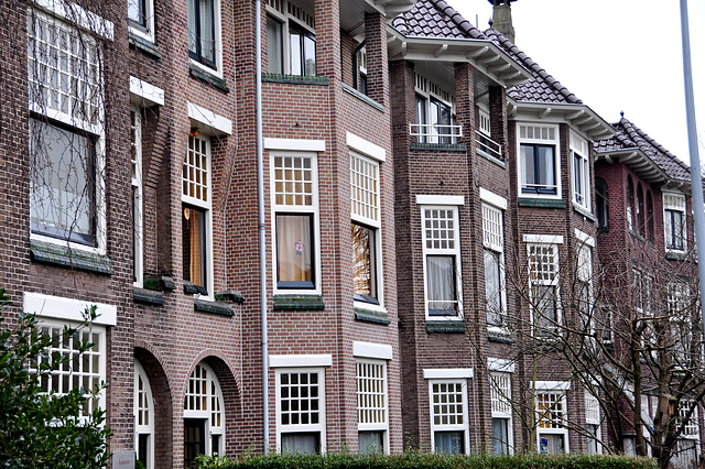 Houses on the Boerhaave Lane in Leiden