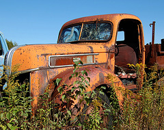 Tired and in the Weeds