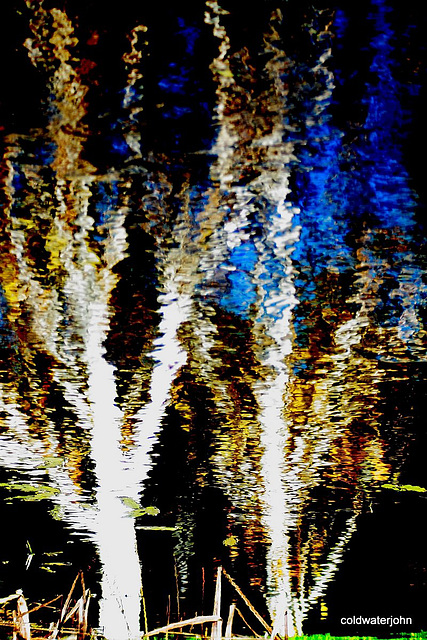Inversed Reflections in the water 5131241697 o