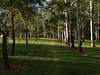 Garnet Lehmann Park 026