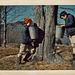 Peter and Brian Checking the Sap Buckets c1964