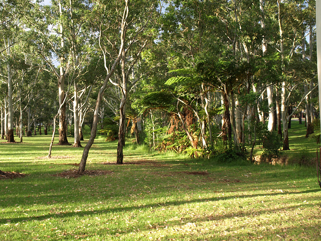 Garnet Lehmann Park 027