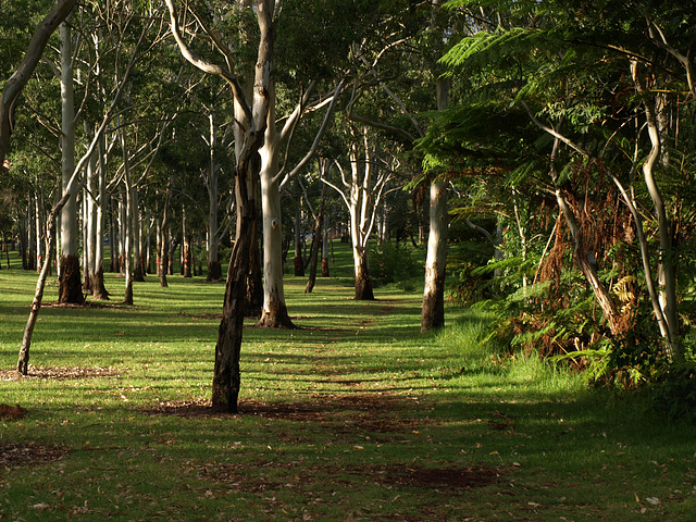 Garnet Lehmann Park 028