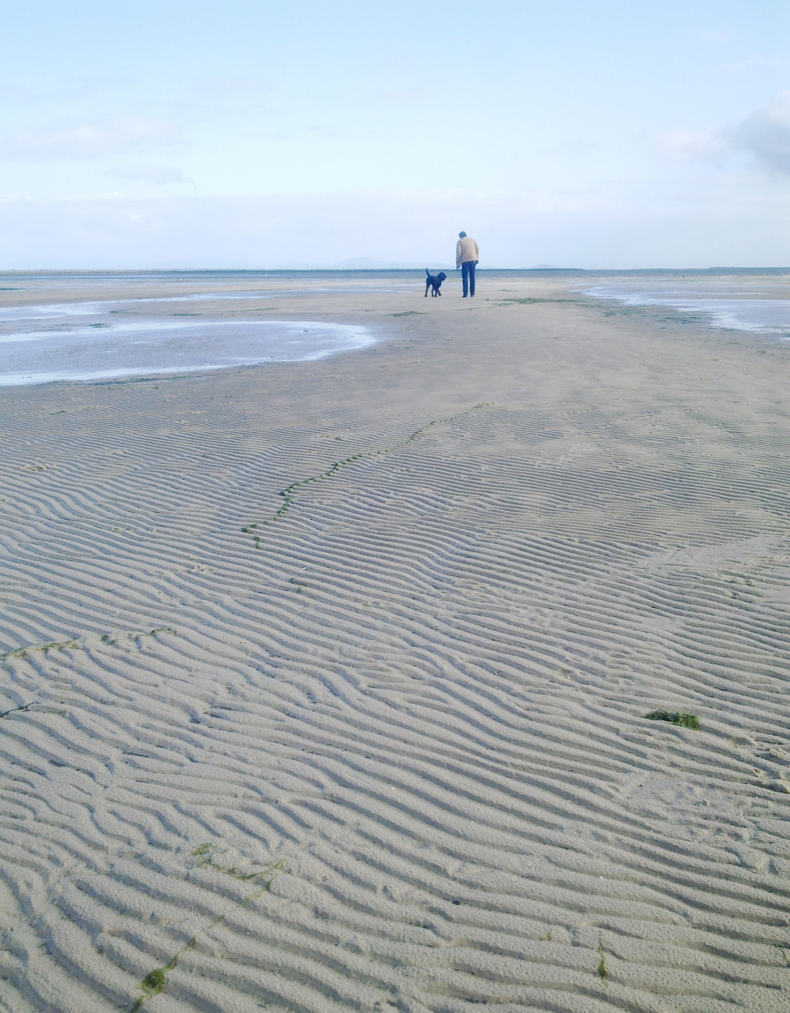 Port Albert - mud flats by Old Port Trail