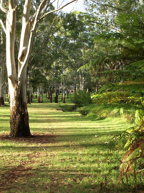 Garnet Lehmann Park 029