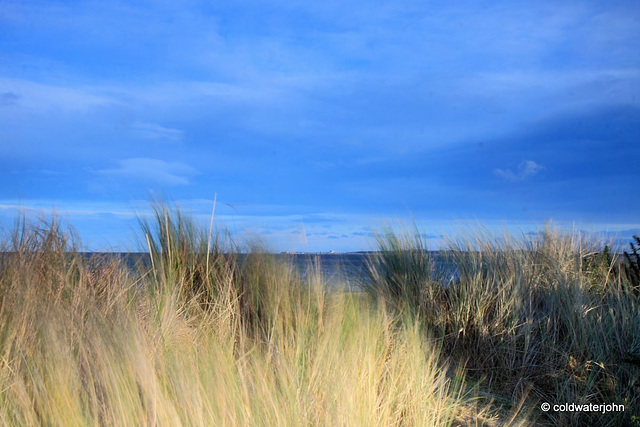 From Findhorn Beach, looking over the grasses to Burghead