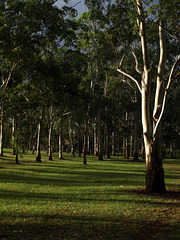 Garnet Lehmann Park 030