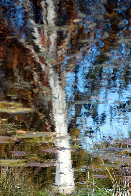 Inversed Reflections in the water 5131242459 o