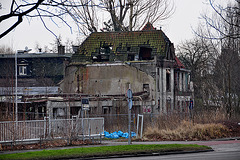 See-through roof