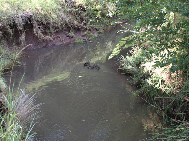 Garnet Lehmann Park 032