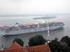 Containerschiff  COSCO BELGIUM auf der Elbe