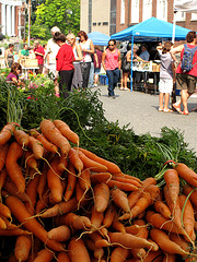 Carrot Pile