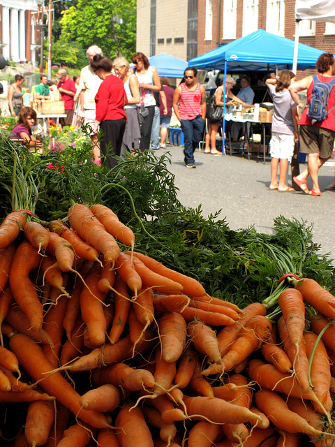 Carrot Pile