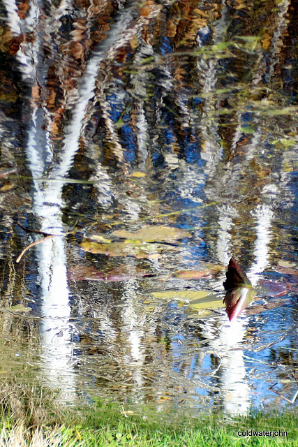 Inversed Reflections in the water 5131242767 o