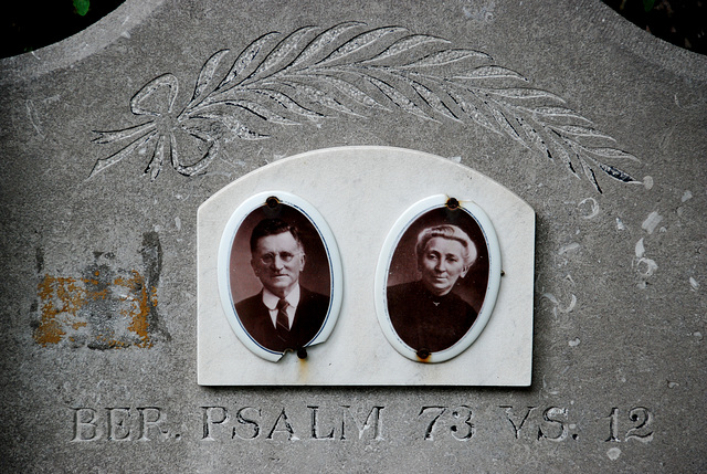 Kleverlaan Cemetery in Haarlem