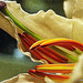 Fractalian Series - Flower detail