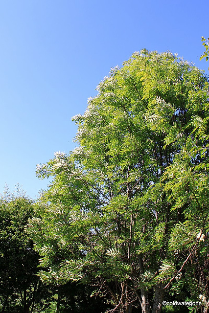 Blue skies and sunshine - summer is here in May!