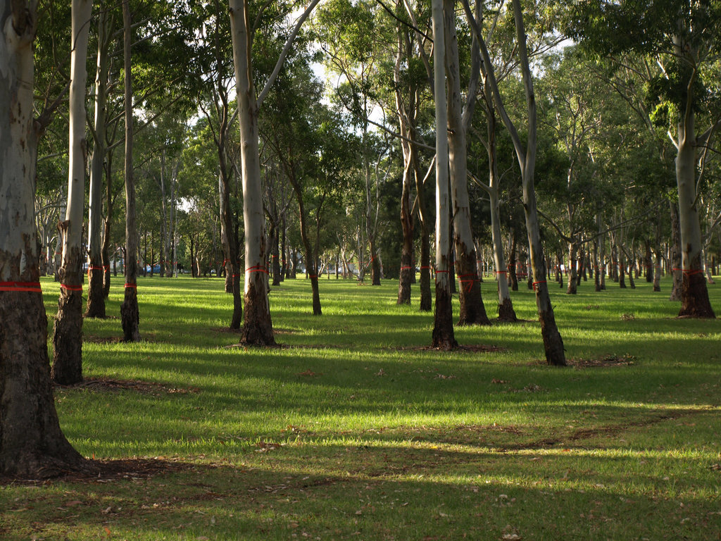 Garnet Lehmann Park 036