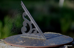 And the spider says it's six o'clock