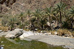 Travelogue of trip into the Interior mountain ranges of Oman