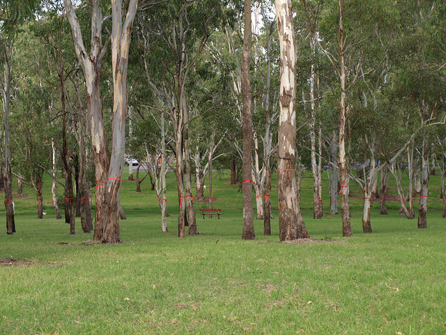 Garnet Lehmann Park 037