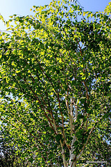 Blue skies and sunshine - summer is here in May!